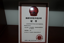 國家科學(xué)技術(shù)進步獎