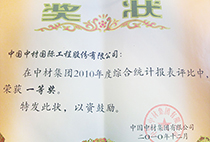 中材集團2010年度綜合統(tǒng)計